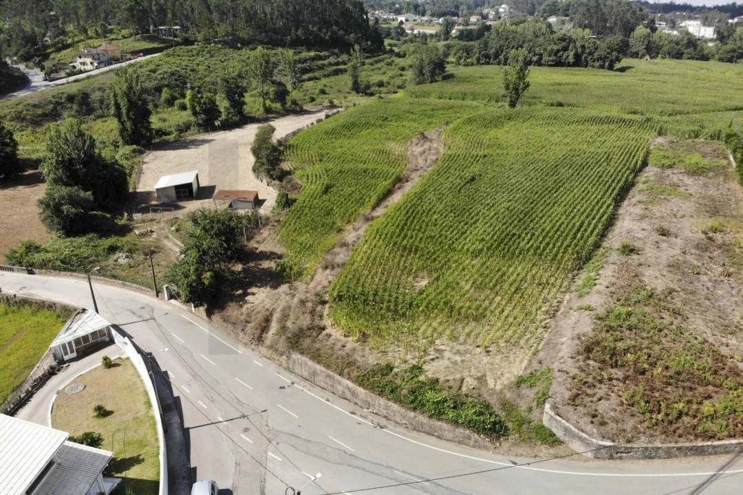 Terreno para Venda em Lobão, Gião, Louredo e Guisande Foto 5
