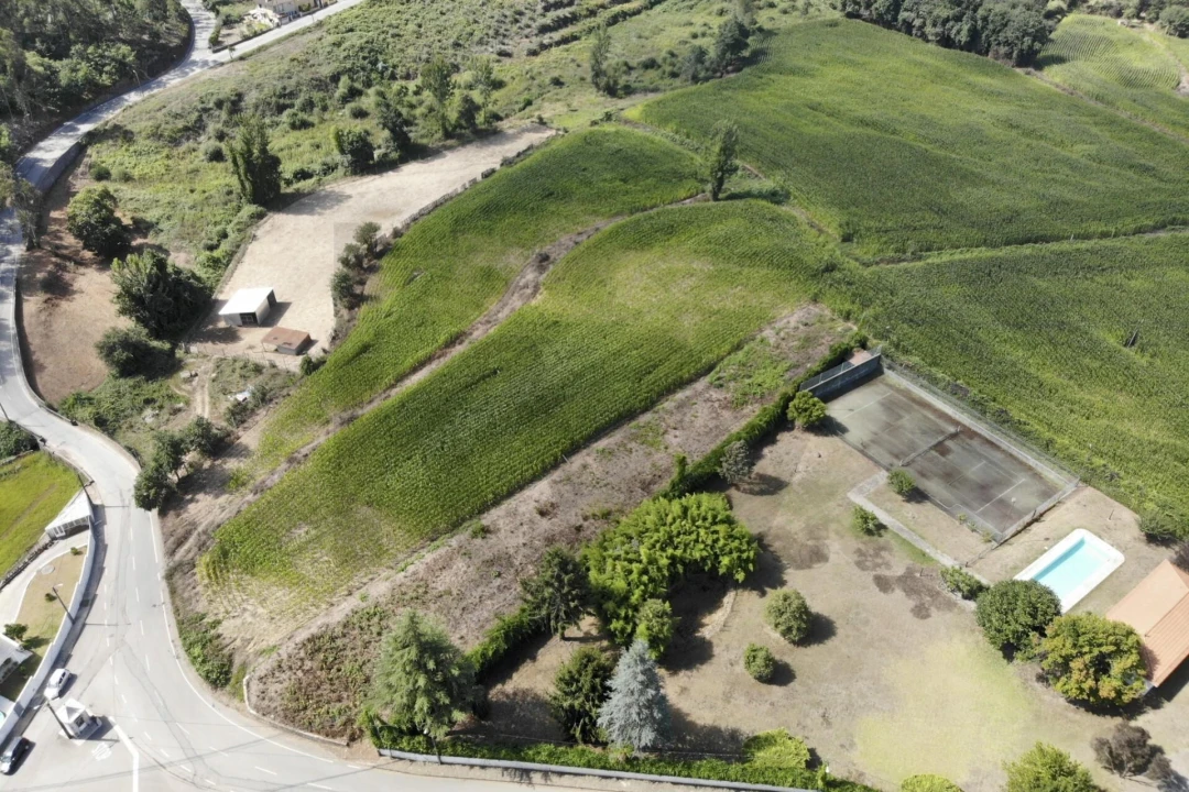 Terreno para Venda em Lobão, Gião, Louredo e Guisande Foto 17
