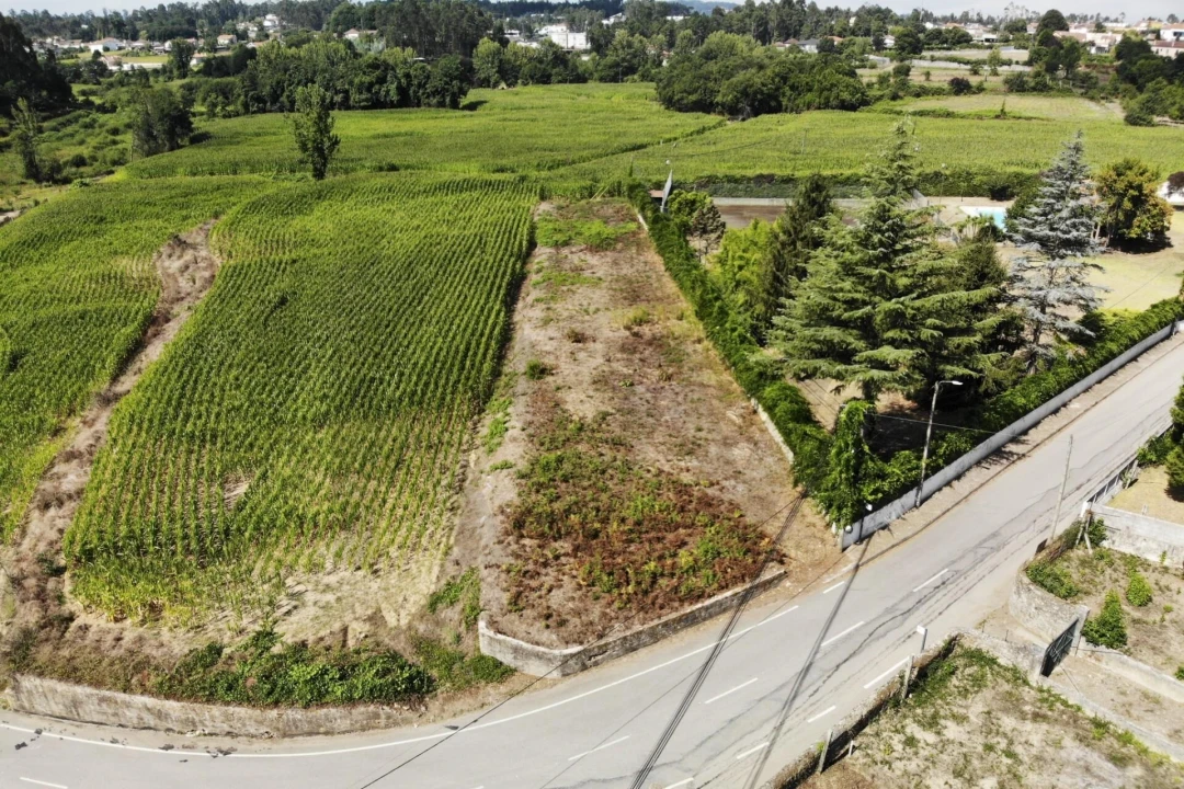 Terreno para Venda em Lobão, Gião, Louredo e Guisande Foto 4
