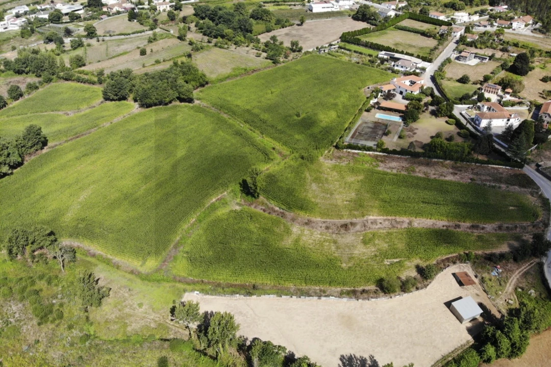 Terreno para Venda em Lobão, Gião, Louredo e Guisande Foto 19
