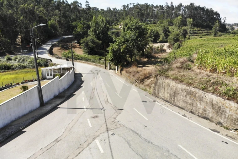 Terreno para Venda em Lobão, Gião, Louredo e Guisande Foto 2