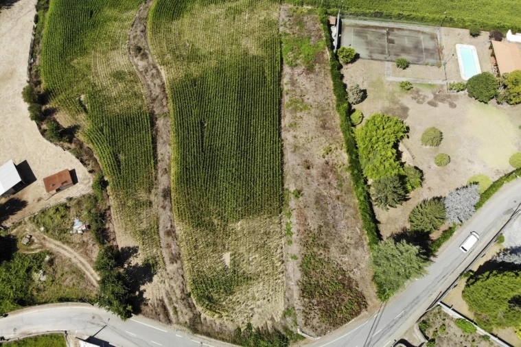 Terreno para Venda em Lobão, Gião, Louredo e Guisande Foto 22
