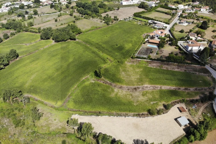 Terreno para Venda em Lobão, Gião, Louredo e Guisande Foto 19
