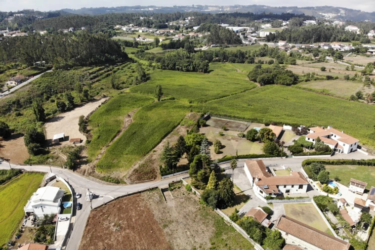 Terreno para Venda em Lobão, Gião, Louredo e Guisande Foto 6