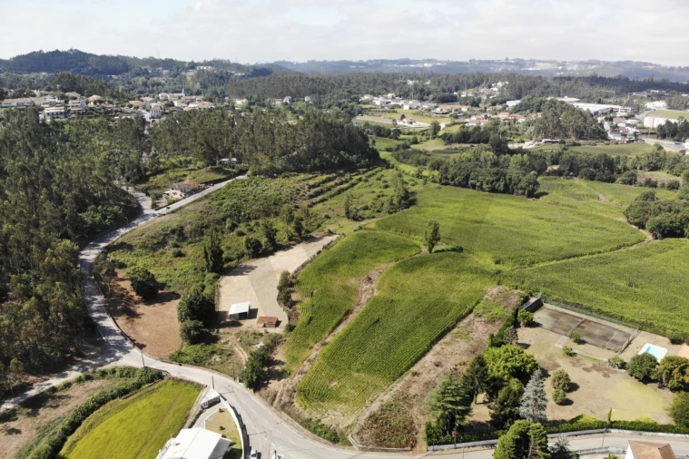 Terreno para Venda em Lobão, Gião, Louredo e Guisande Foto 12