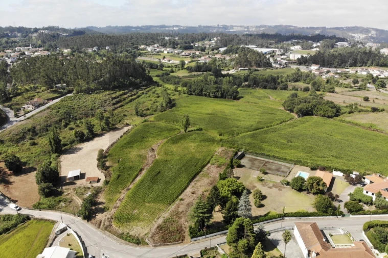 Terreno para Venda em Lobão, Gião, Louredo e Guisande Foto 16