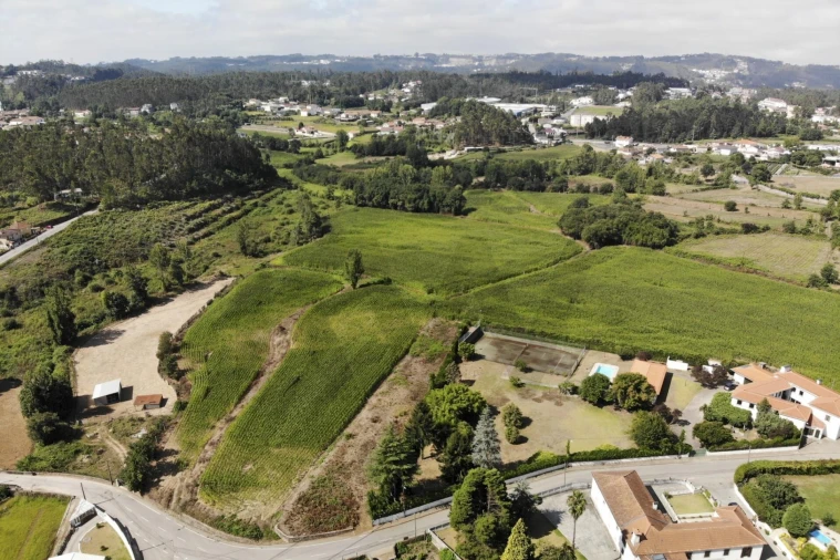 Terreno para Venda em Lobão, Gião, Louredo e Guisande Foto 13