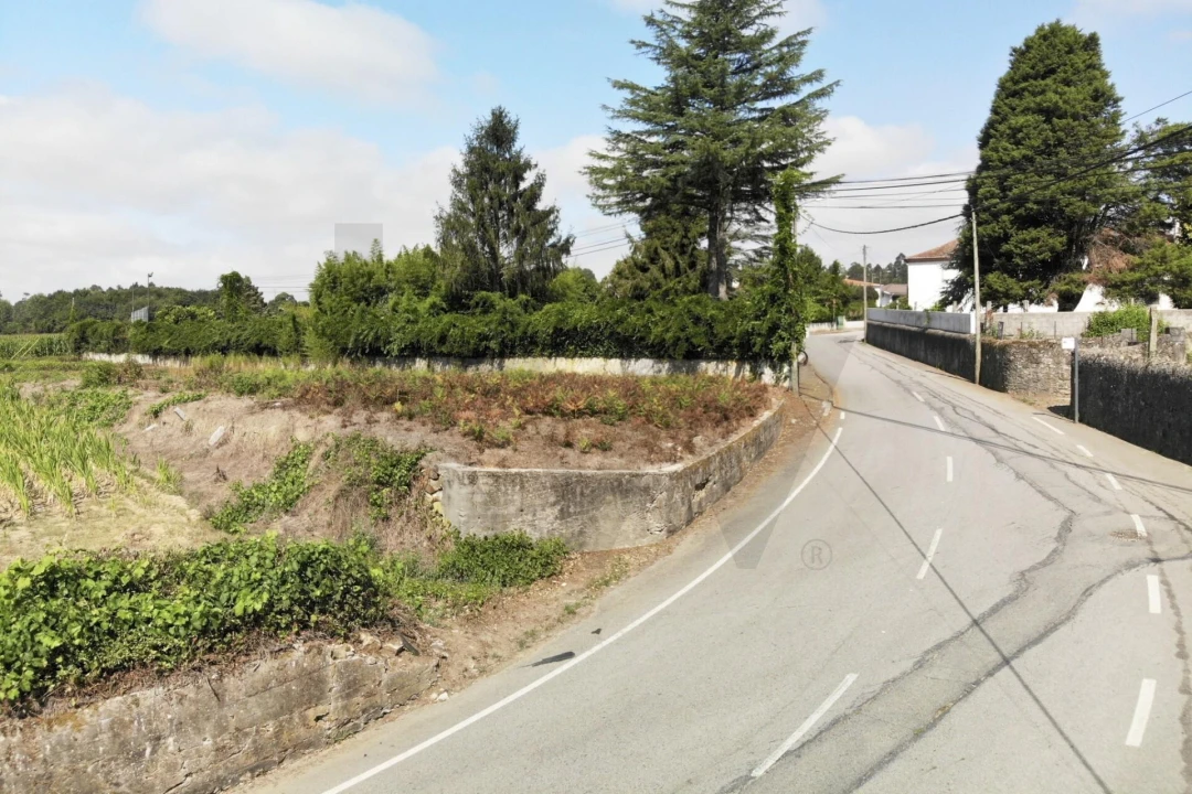 Terreno para Venda em Lobão, Gião, Louredo e Guisande Foto 1