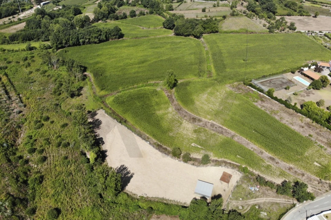 Terreno para Venda em Lobão, Gião, Louredo e Guisande Foto 21
