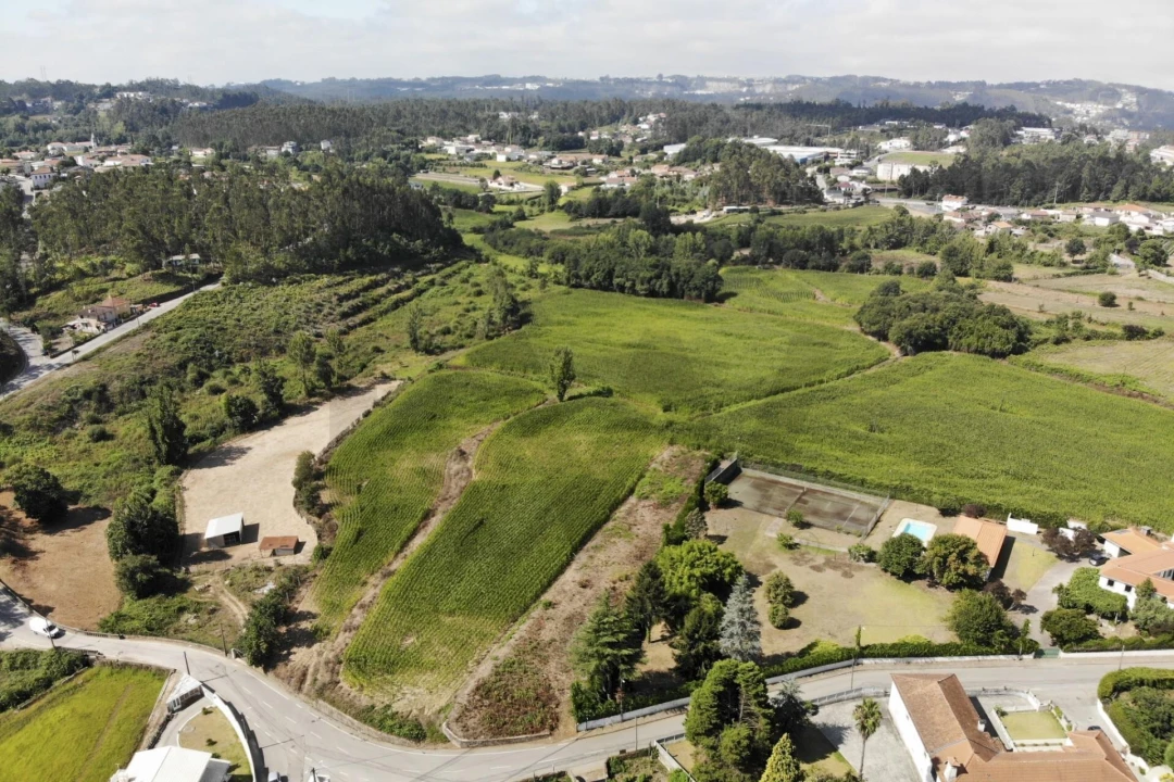 Terreno para Venda em Lobão, Gião, Louredo e Guisande Foto 16
