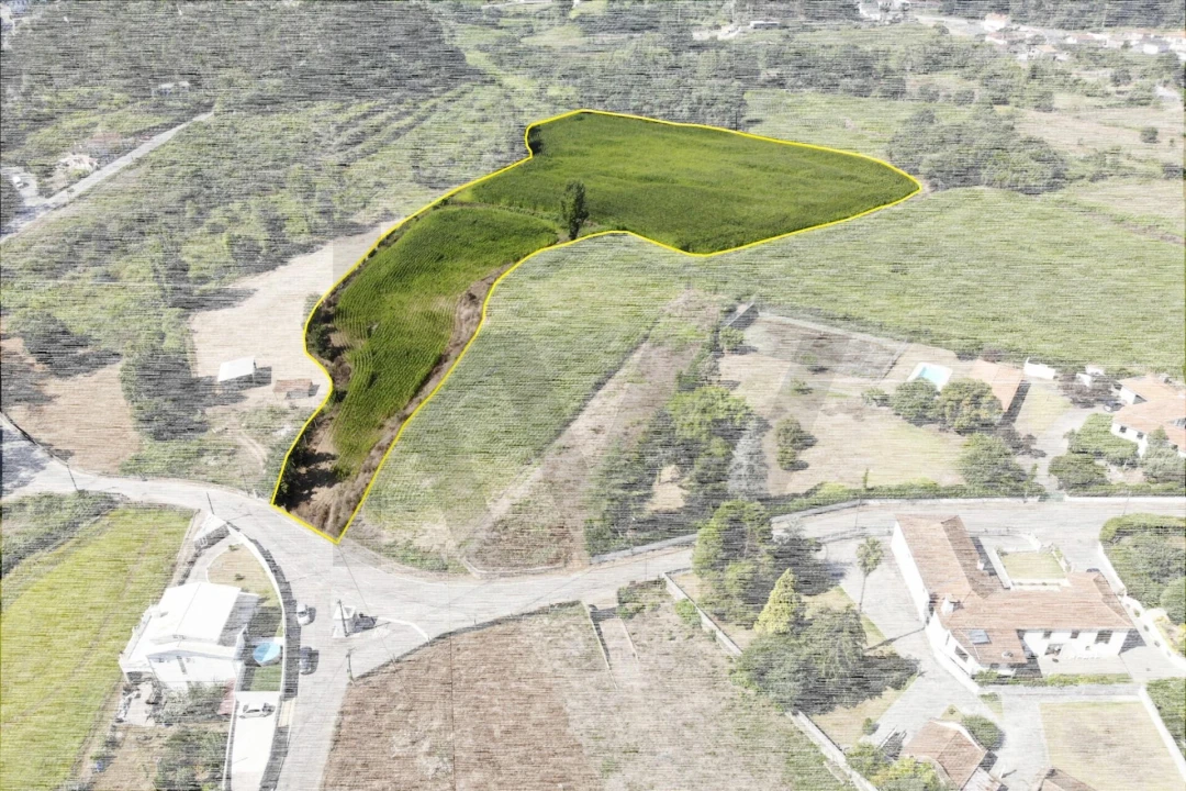 Terreno para Venda em Lobão, Gião, Louredo e Guisande Foto 9