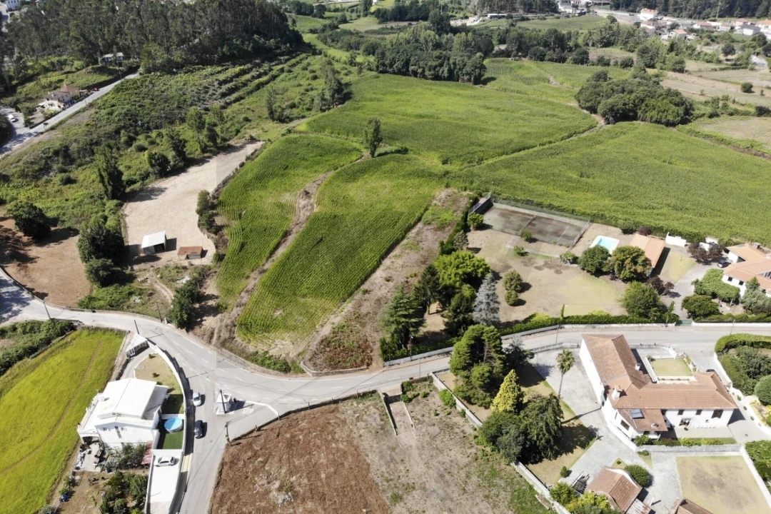 Terreno para Venda em Lobão, Gião, Louredo e Guisande Foto 10