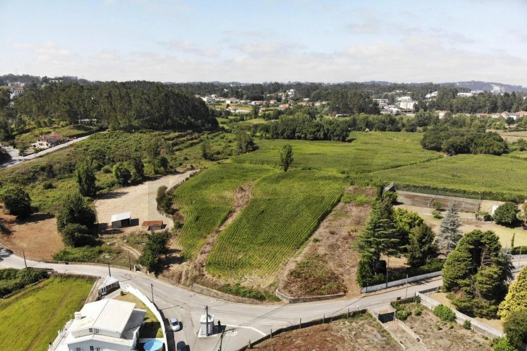 Terreno para Venda em Lobão, Gião, Louredo e Guisande Foto 23