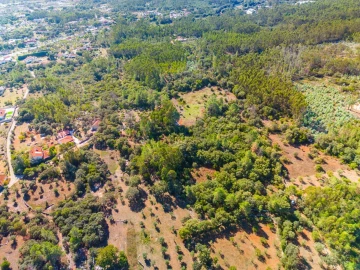 Terreno para Venda em Fatima