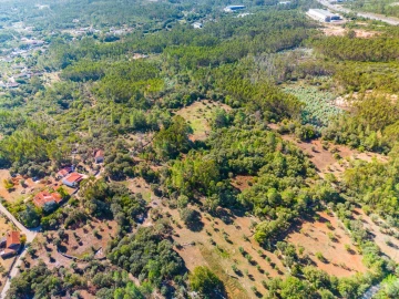 Terreno para Venda em Fatima