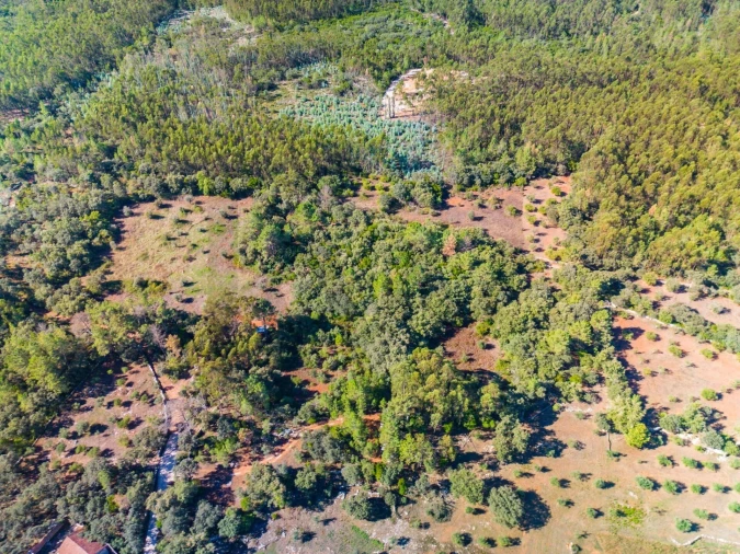 Terreno para Venda em Fatima Foto 10