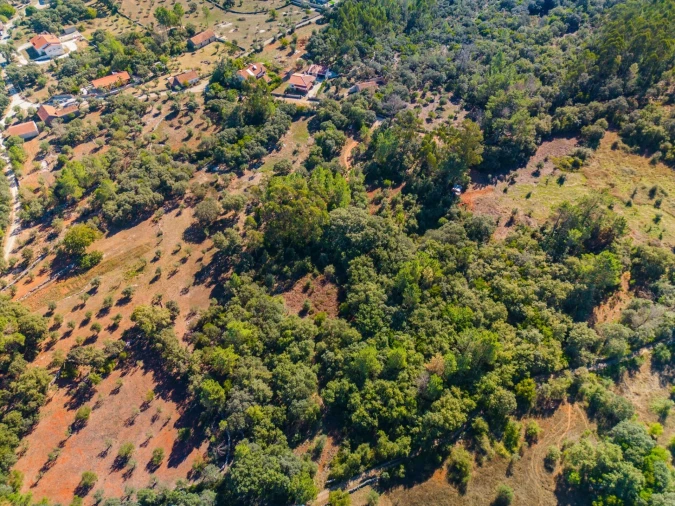Terreno para Venda em Fatima Foto 7
