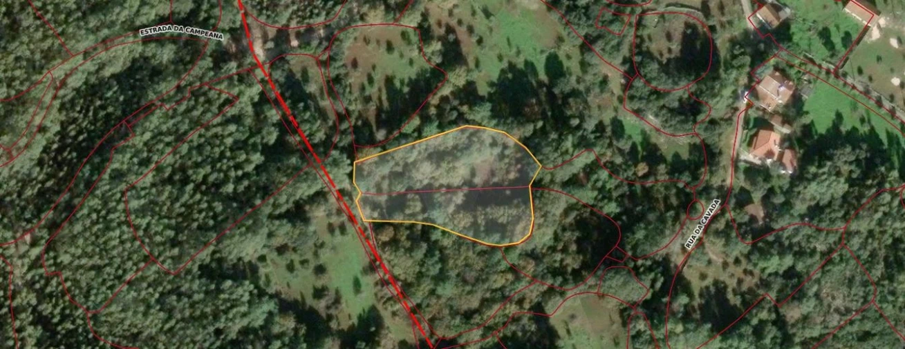 Terreno para Venda em Fatima Foto 4