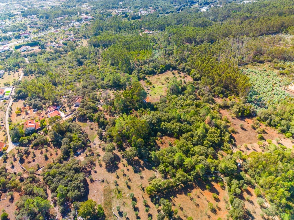 Terreno para Venda em Fatima Foto 8
