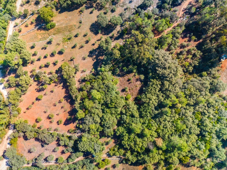 Terreno para Venda em Fatima Foto 12