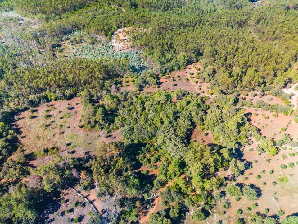 Terreno para Venda em Fatima Foto 11