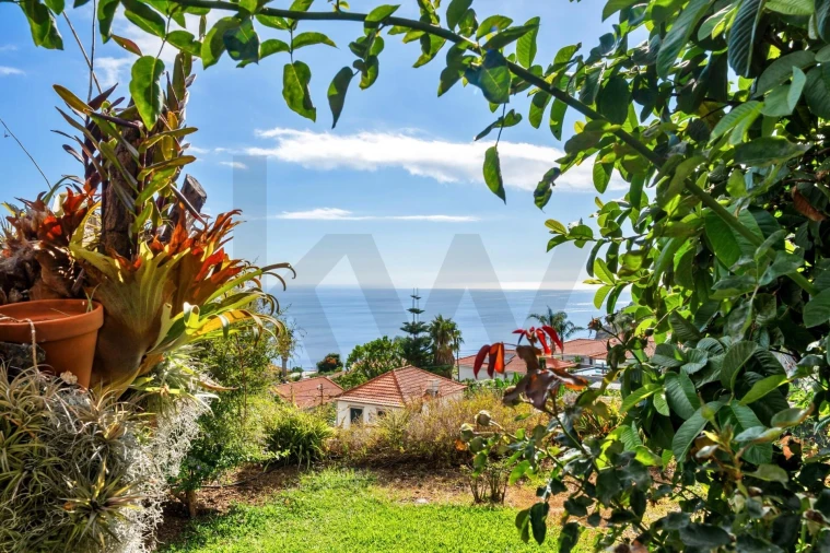 Moradia T3 para Venda em Arco da Calheta Foto 31