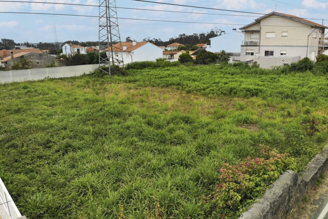 Terreno para Venda em Nogueira da Regedoura Foto 1