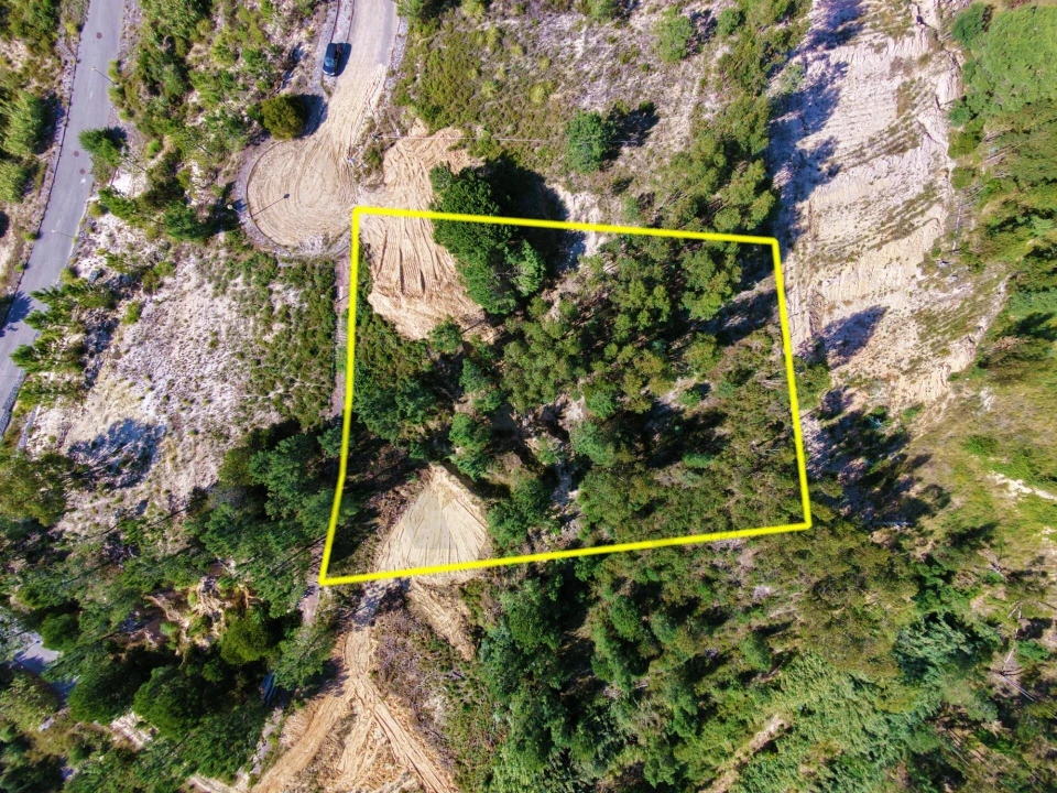 Terreno para Venda em Azambuja Foto 12