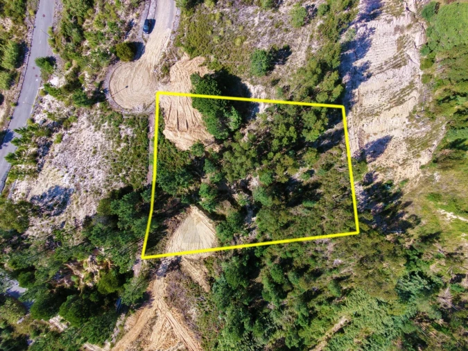 Terreno para Venda em Azambuja Foto 12