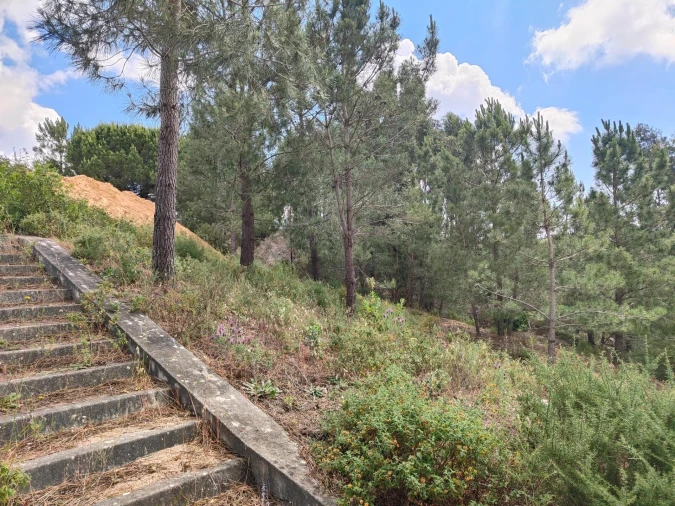 Terreno para Venda em Azambuja Foto 17