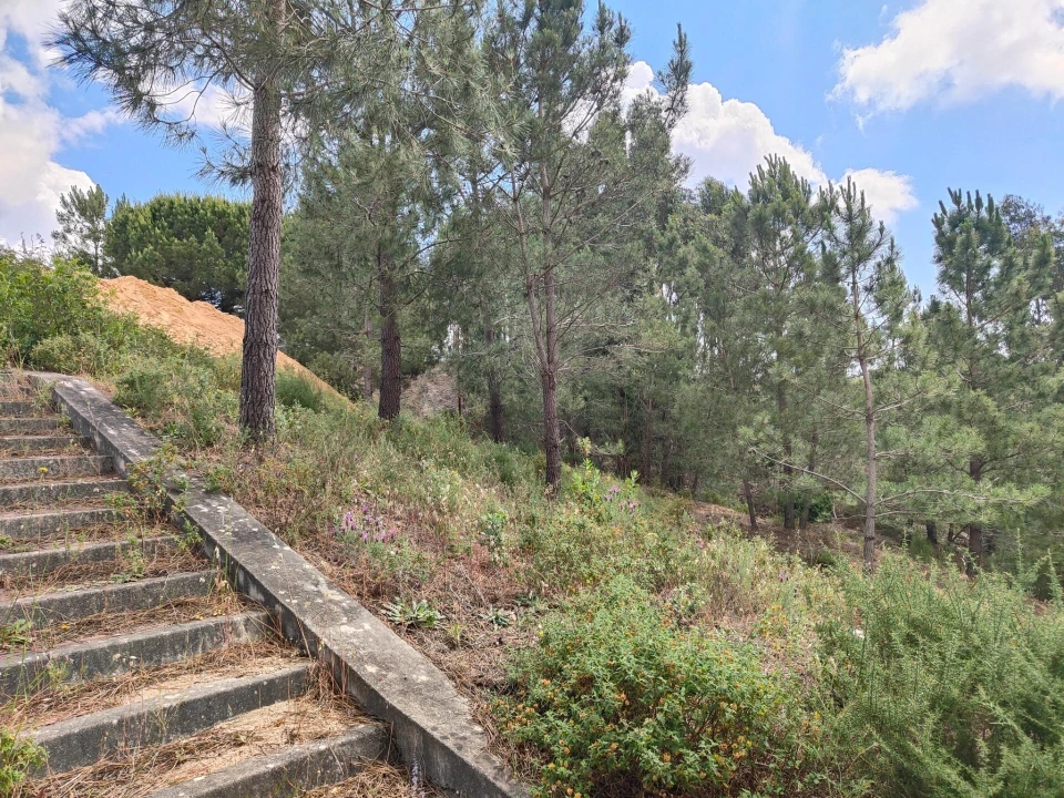 Terreno para Venda em Azambuja Foto 17