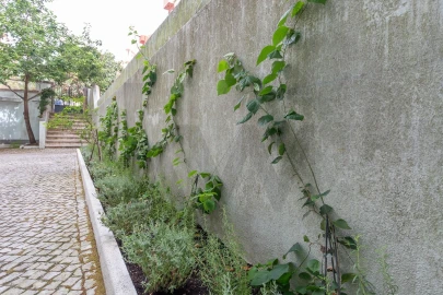 Apartamento T1 para Arrendamento em Campo de Ourique