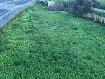 Terreno para Arrendamento em Carcavelos e Parede