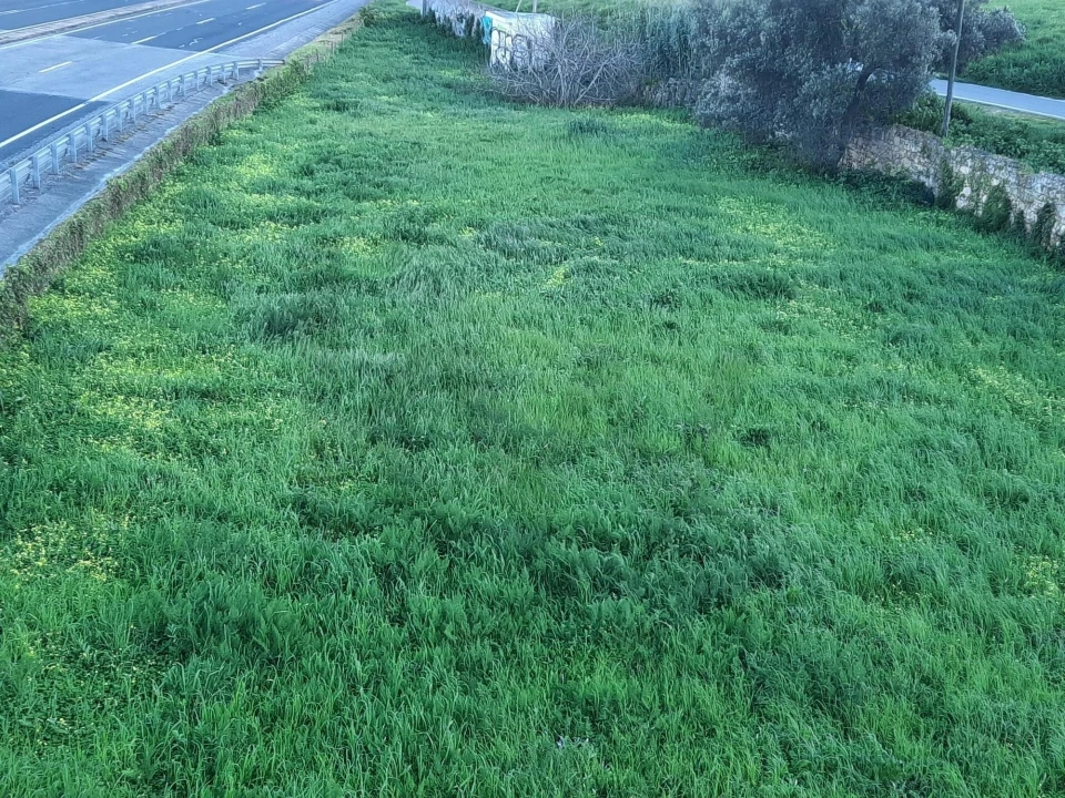 Terreno para Arrendamento em Carcavelos e Parede Foto 7
