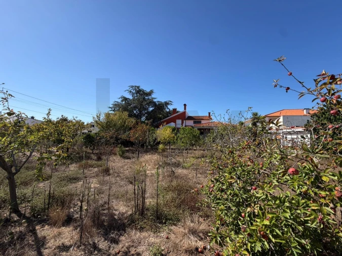 Terreno para Venda em Santa Joana Foto 3