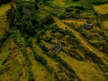 Moradia T1 para Venda em São Pedro