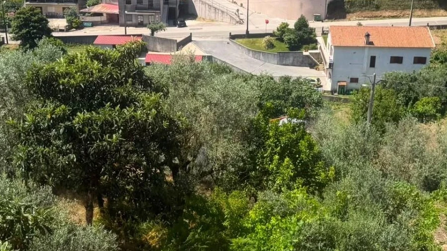 Moradia T2 para Venda em Penacova