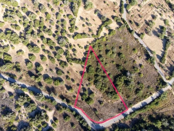 Terreno para Venda em Loule (São Sebastião)