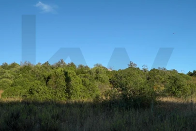 Terreno para Venda em Loule (São Sebastião)