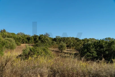 Terreno para Venda em Loule (São Sebastião)