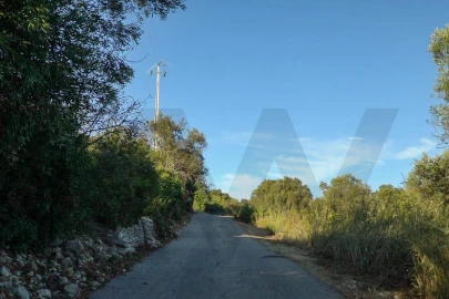 Terreno para Venda em Loule (São Sebastião)