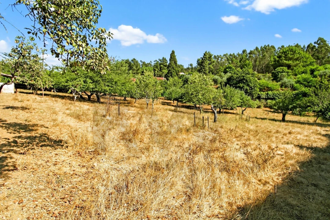 Quinta T9 para Venda em Espariz e Sinde Foto 59