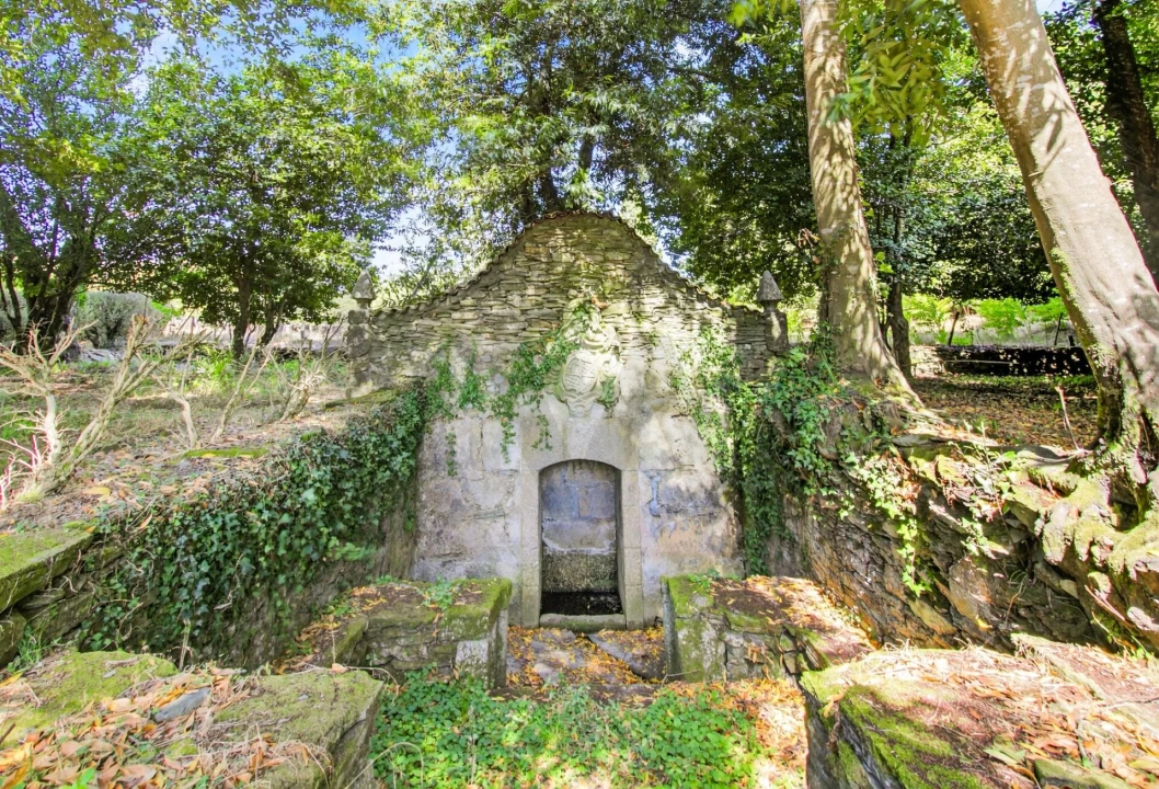 Quinta T9 para Venda em Espariz e Sinde Foto 42
