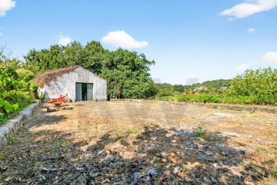 Quinta T9 para Venda em Espariz e Sinde