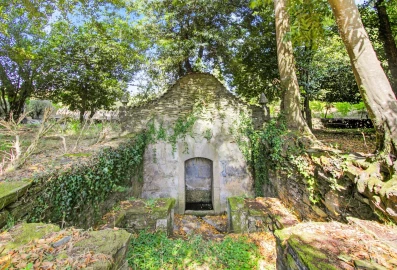 Quinta T9 para Venda em Espariz e Sinde