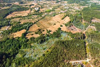 Quinta T9 para Venda em Espariz e Sinde