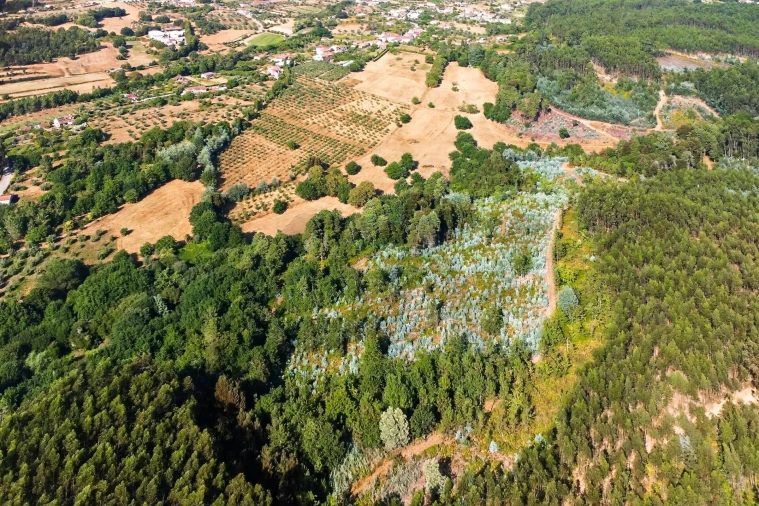 Quinta T9 para Venda em Espariz e Sinde Foto 52
