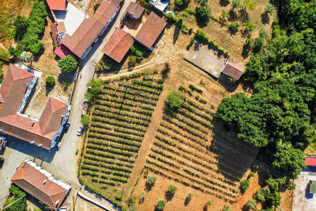 Quinta T9 para Venda em Espariz e Sinde Foto 51