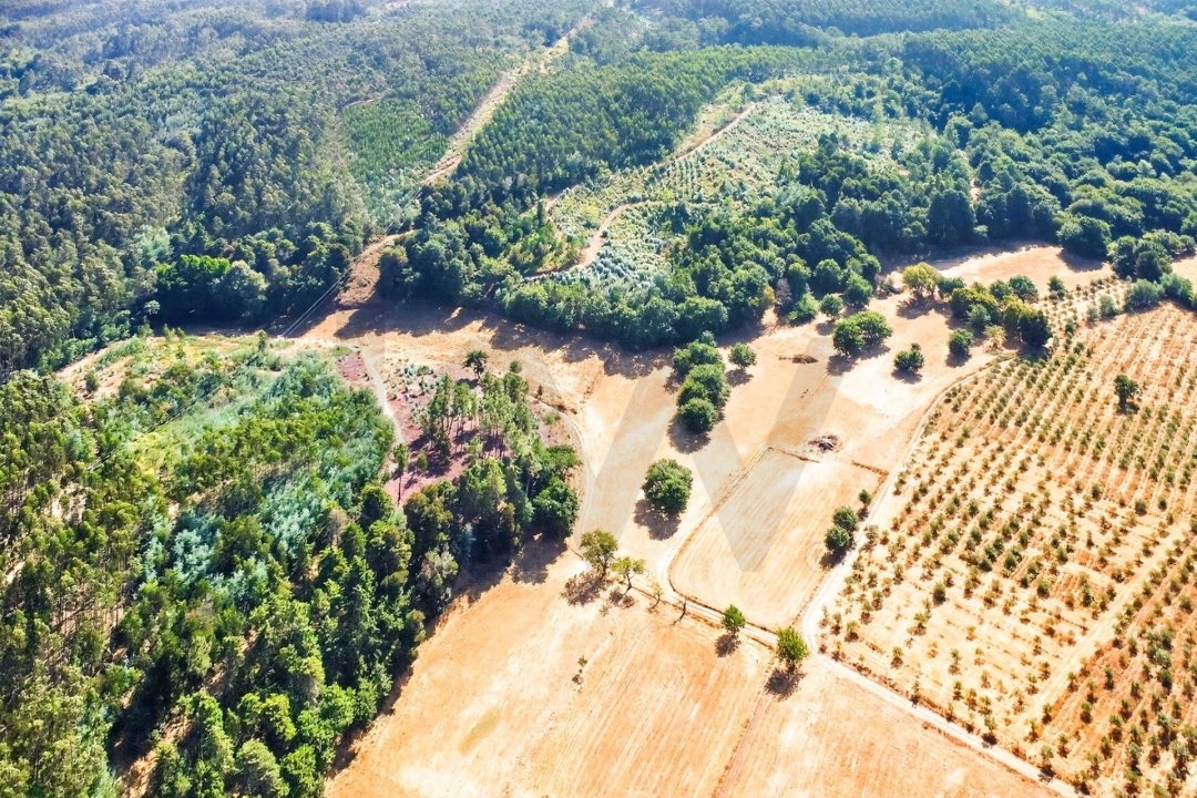 Quinta T9 para Venda em Espariz e Sinde Foto 45