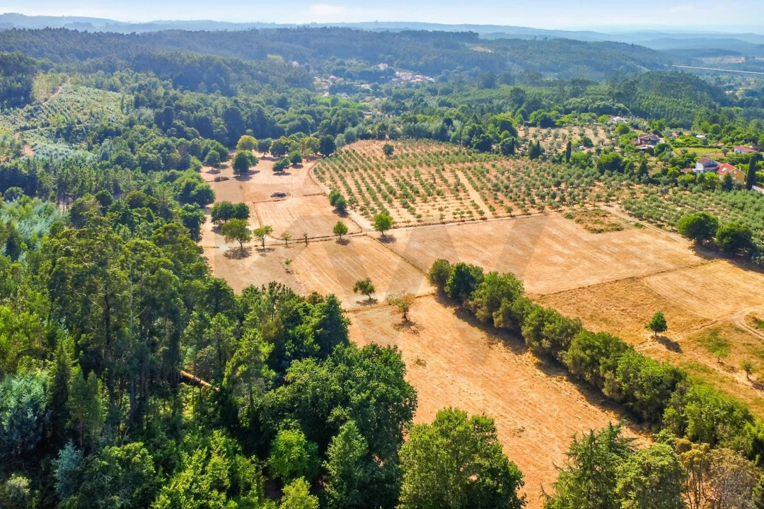 Quinta T9 para Venda em Espariz e Sinde Foto 48